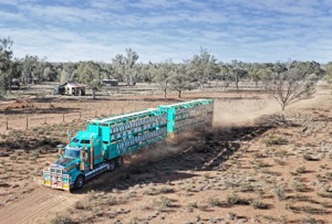 Unmatched simplicity, unyielding strength