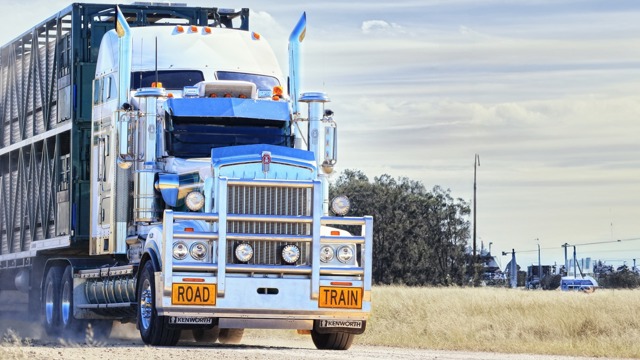 How It Supports Operational Performance