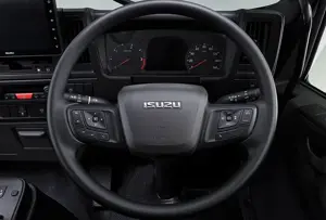 Steering Wheel Controls