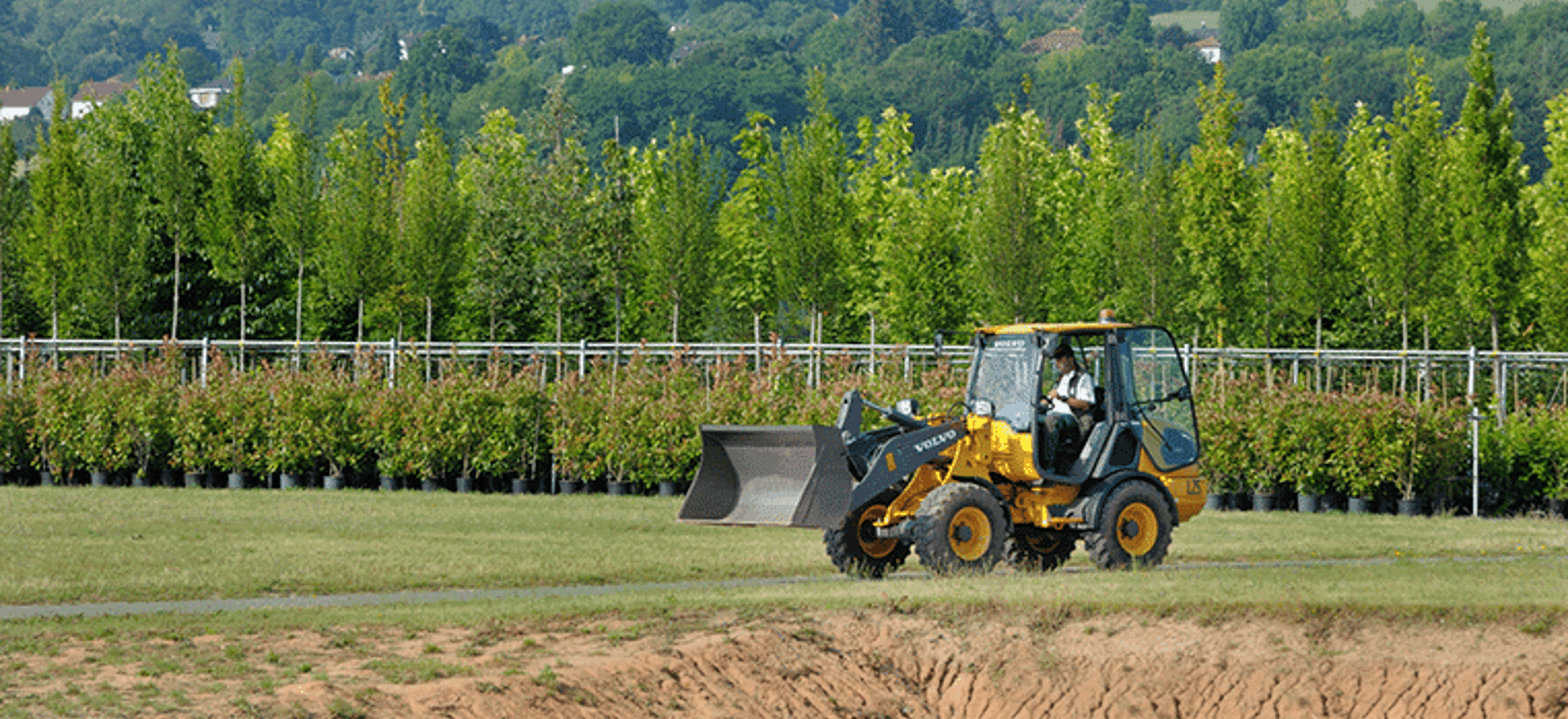 First Volvo Electric Compact Wheel Loader a Tree-Mendous Success for German Tree Farm