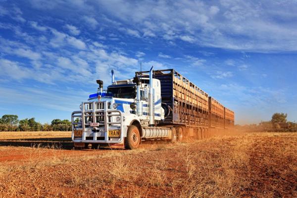 Preventative Maintenance