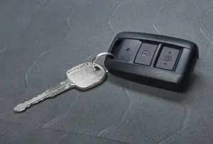 Passive Entry and Start System