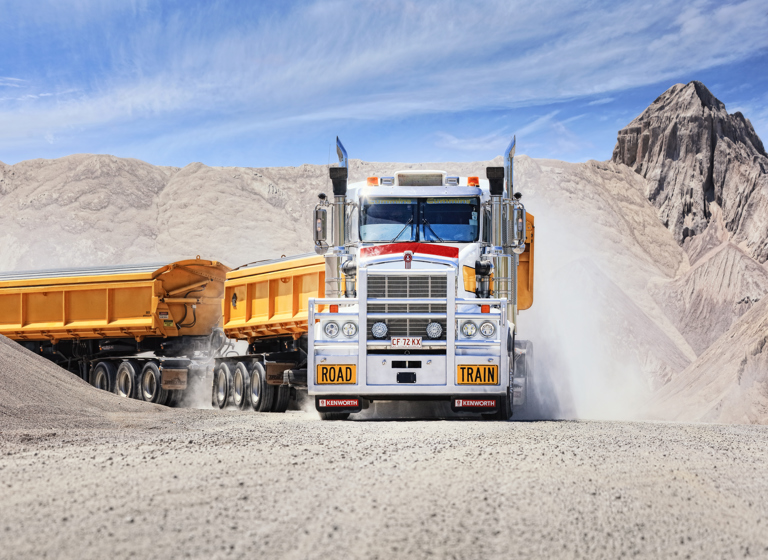 KW T659 Halkitis Tip Voss Darwin (42)