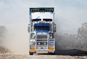 The definition of rugged