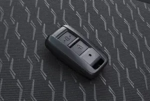 Passive Entry and Start System