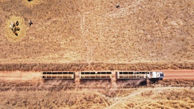 Built for Australian Transport Conditions